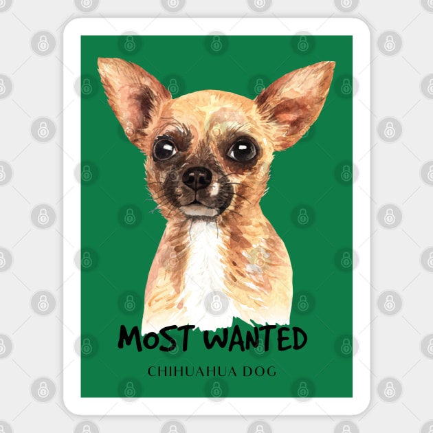 Most wanted chihuahua dog Magnet by Mako Design 